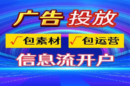 SEM投放策略：成功案例解析